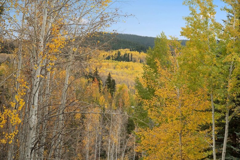 Two Creeks By Snowmass Vacations