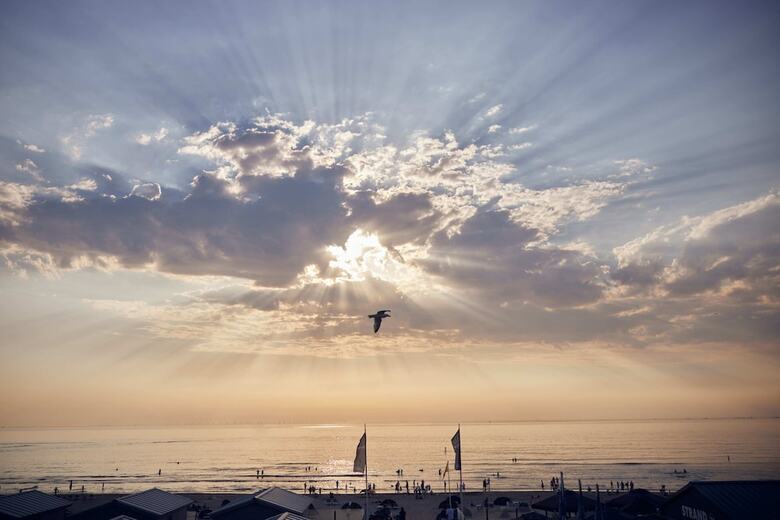 Beach Hotel Zandvoort By Center Parcs