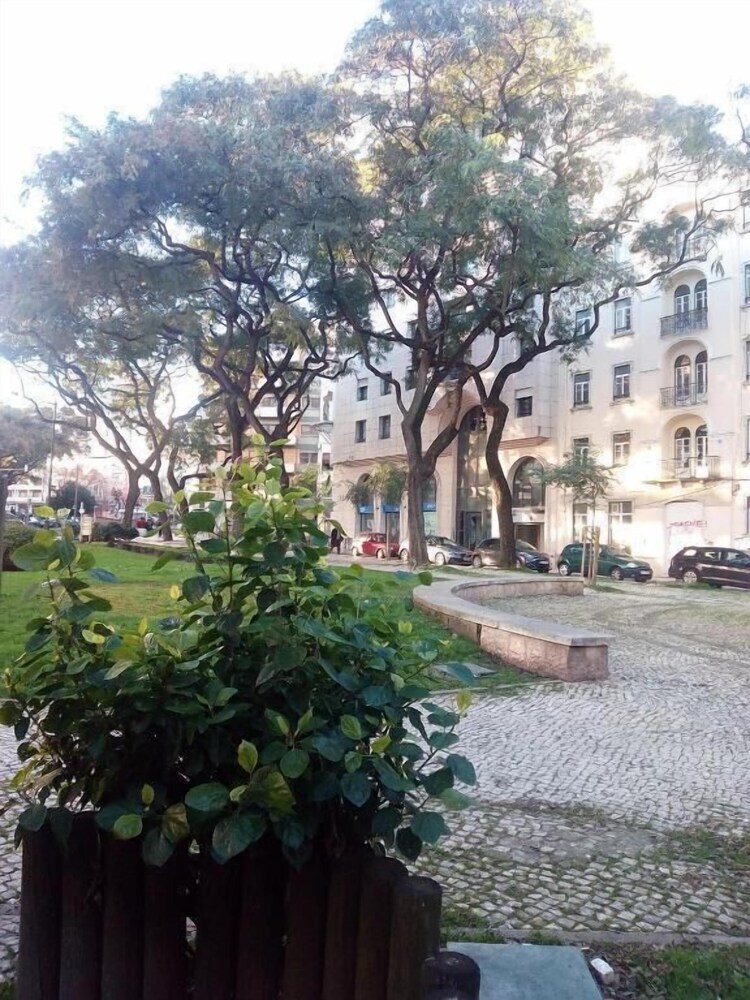Pension Apolo Guesthouse