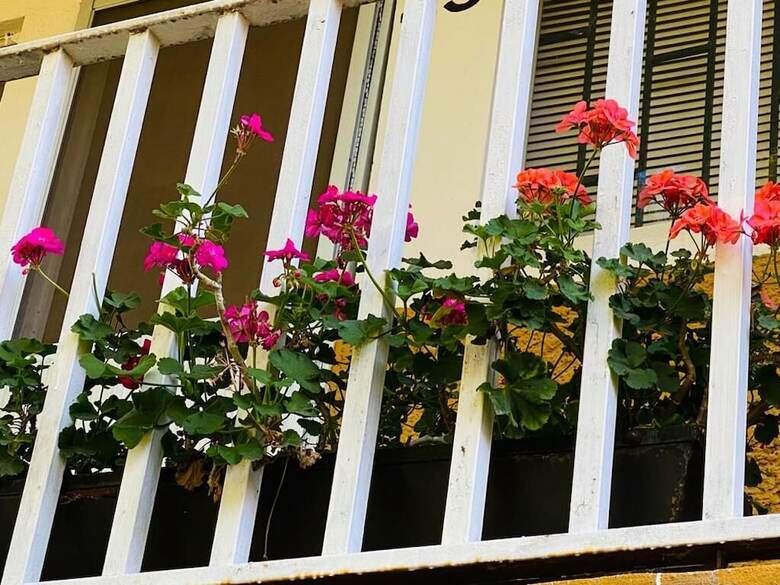 Apartamentos Estancia Centrico, Wifi, Y Servicios Incluidos