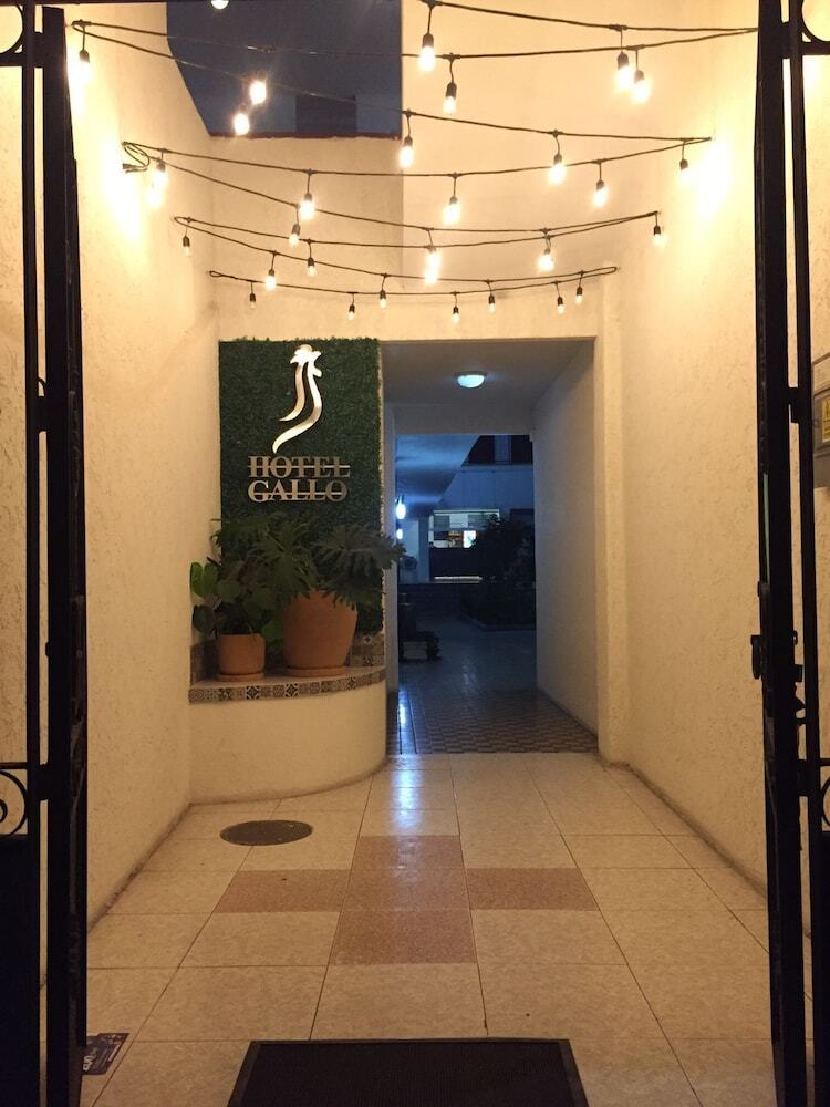 Hotel Gallo Rubio