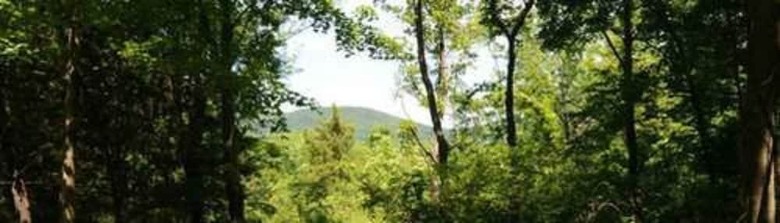 Bed & Breakfast Saint Huberts Lodge