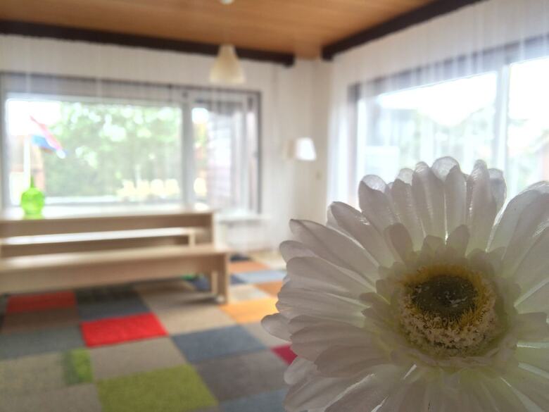 The Budget Hotel