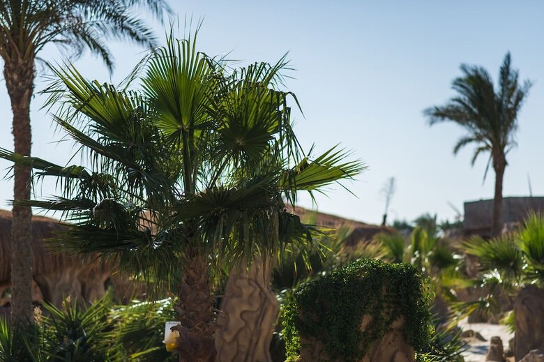 Caves Beach Resort Hurghada - Adults Only - All Inclusive