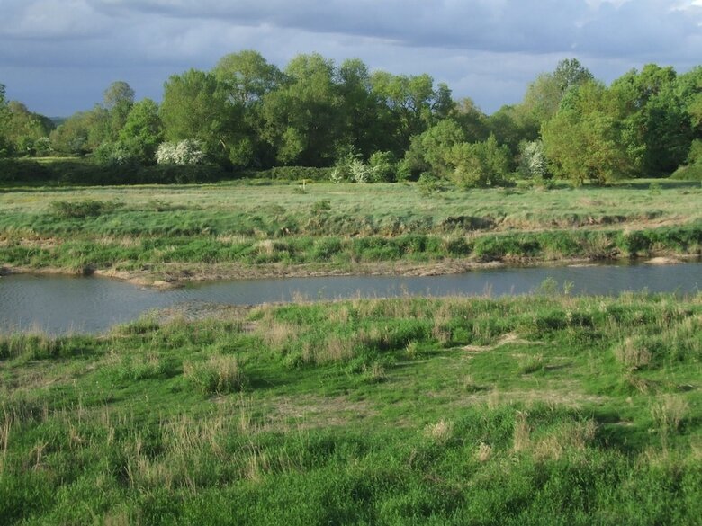 La Sterne De Loire Maison D'h�tes