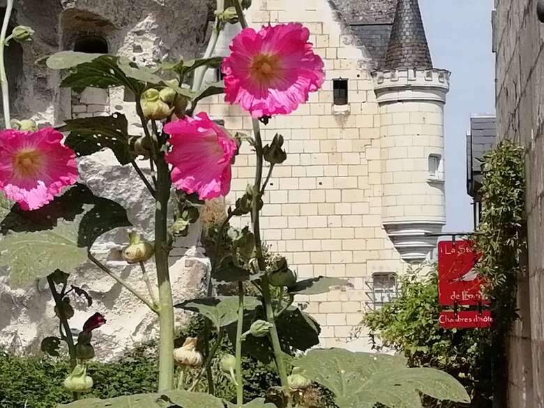 La Sterne De Loire Maison D'h�tes