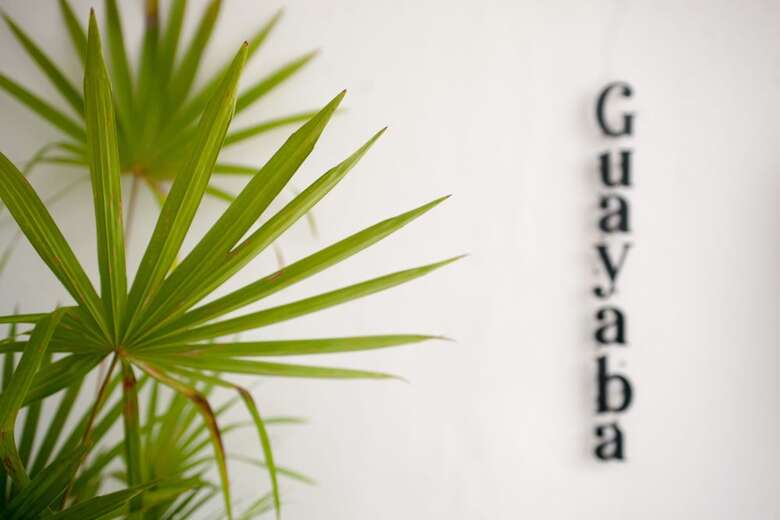Latino Hotel Boutique