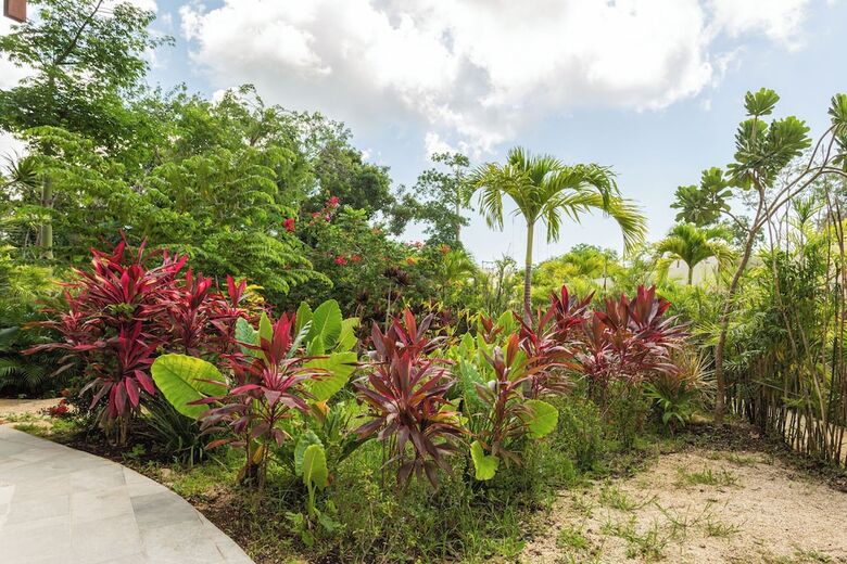 Mistiq Gardens