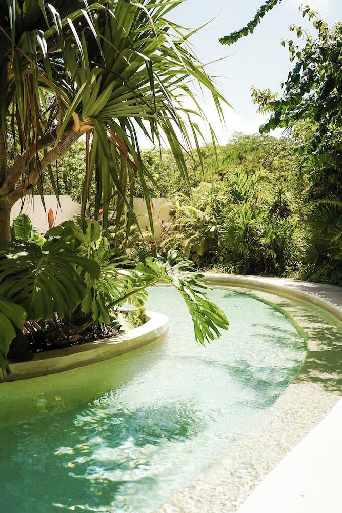 Mistiq Gardens