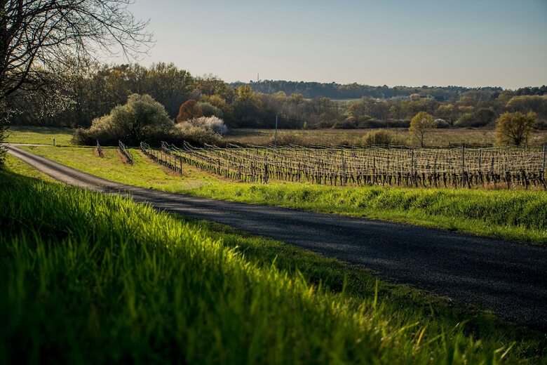Vandenbeld Wines B&B
