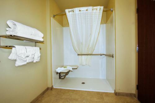 Hotel Cobblestone Inn & Suites Big Lake