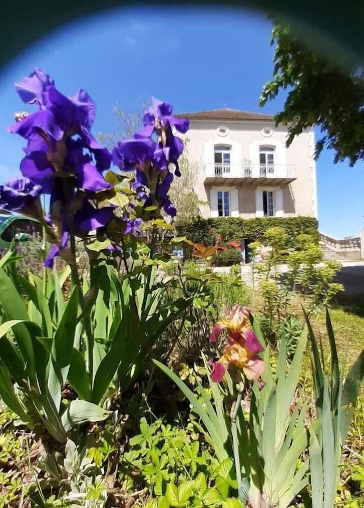 Le Clos De La Salamandre