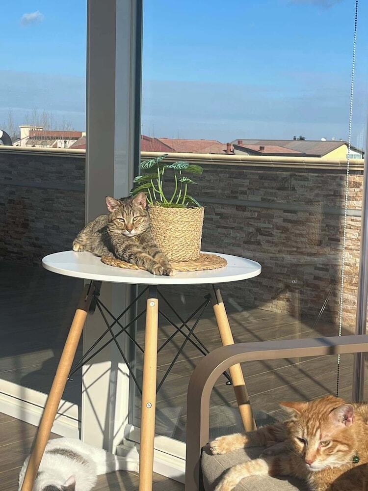 B&B La Terrazza