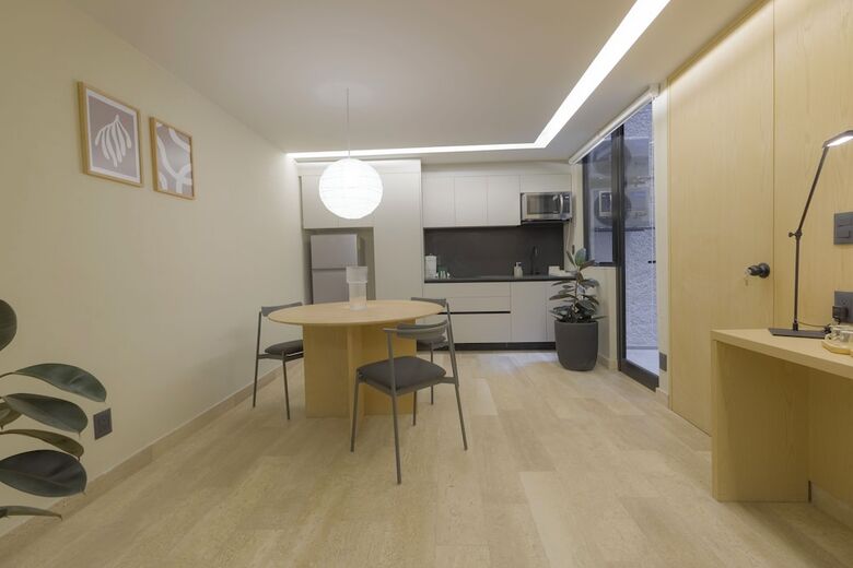 Apartamentos Capitalia Aristoteles Polanco