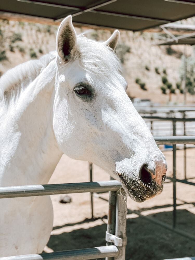 Bandy Canyon Ranch
