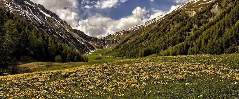 �kohotel Edelweiss