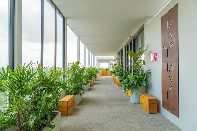 Hotel Mio Riviera Nayarit - Adults Only
