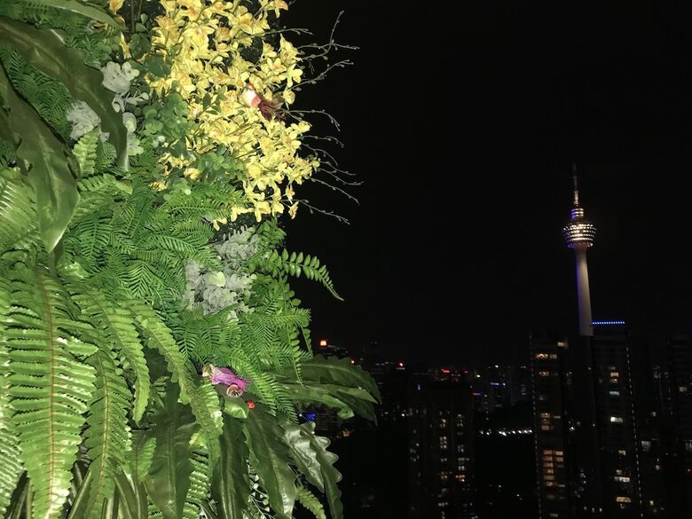 Magical View Homestay At The Robertson