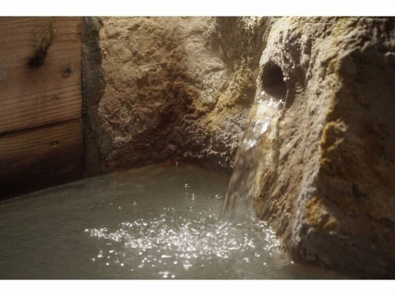 Hakone Onsen Yuyado Yamanosyou