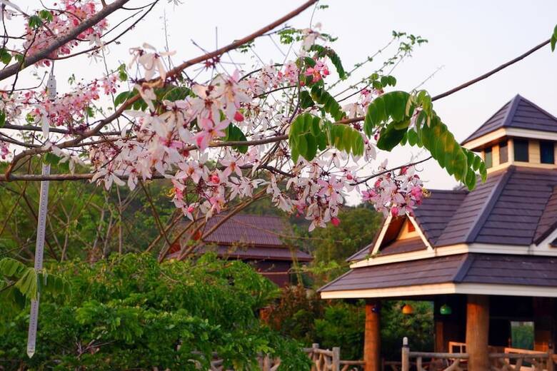 Hotel Rattikanchana Resort