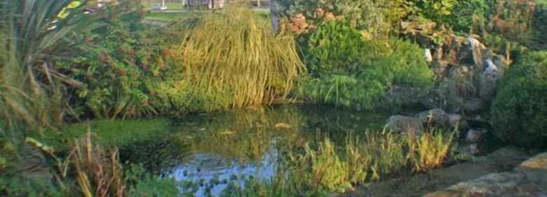 Corrib Haven Guesthouse