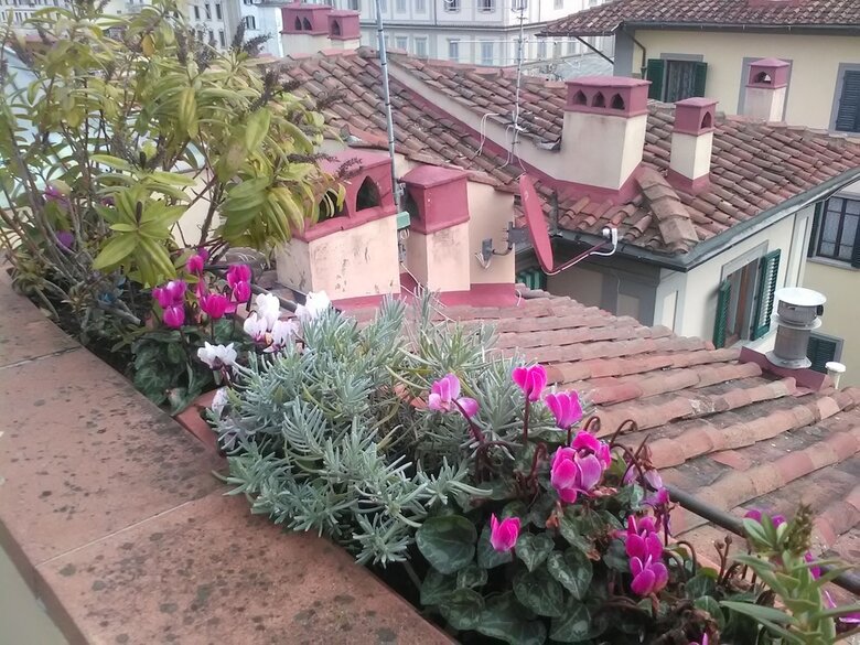 Bed & Breakfast Antica Dimora Johlea - Antiche Dimore Fiorentine