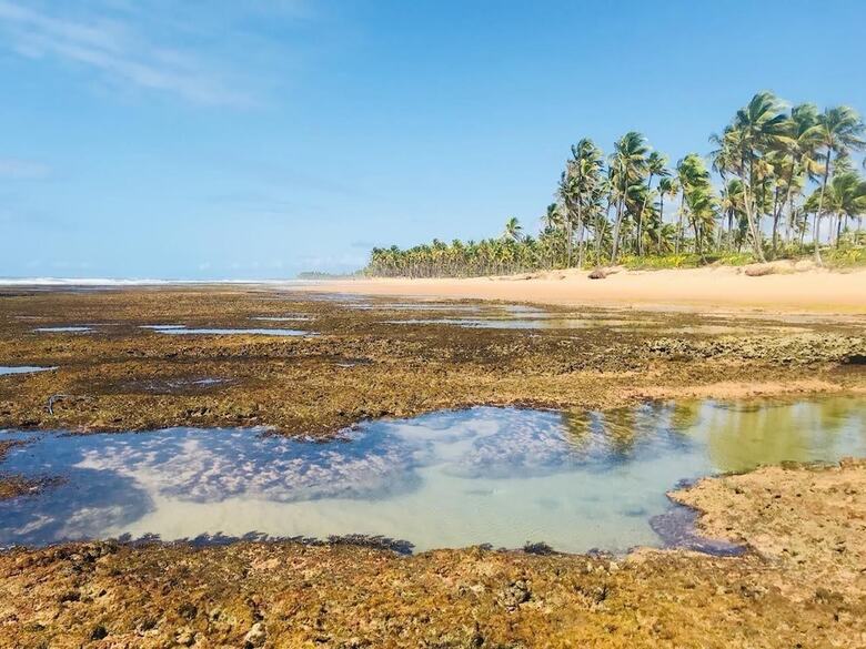 Pousada Velas E Vento - Acesso F�cil A Barra Grande