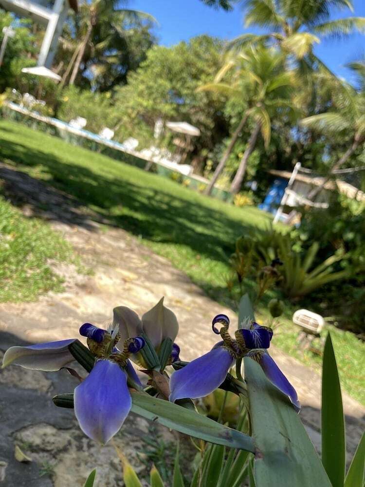 Pousada Velas E Vento - Acesso F�cil A Barra Grande