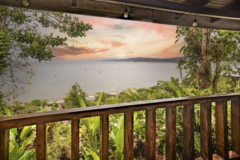 Cotingas Ocean View