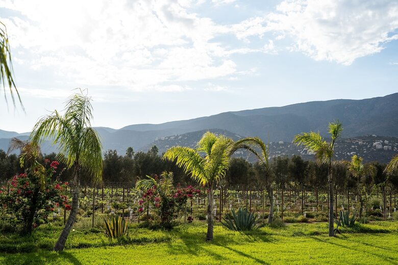 Sue�os Resort Valle De Guadalupe