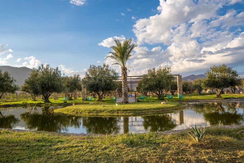 Sue�os Resort Valle De Guadalupe