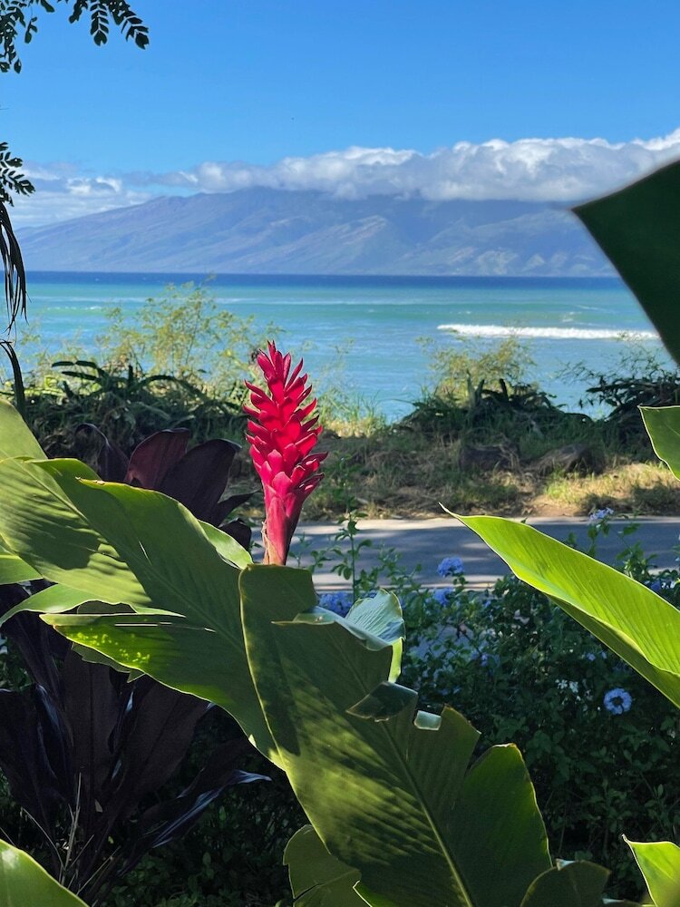 Maui Beach House