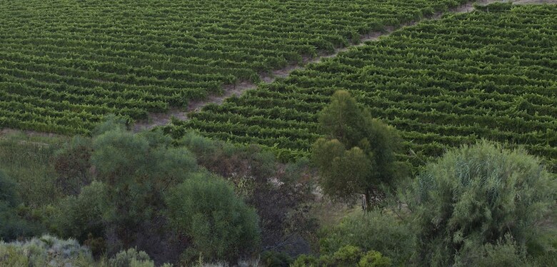 Asara Wine Estate & Hotel