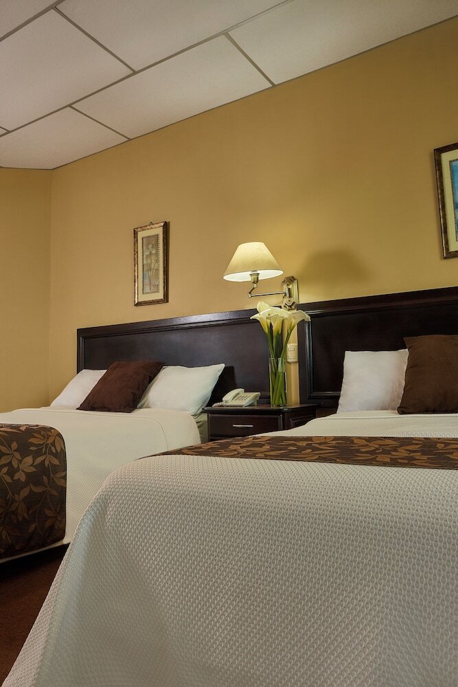 Hotel Podocarpus