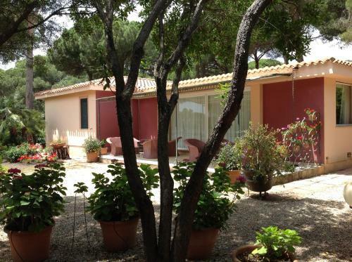 Hostal Villa Bouganvillea