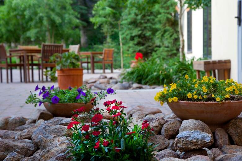 Hotel The Edelweiss Lodge And Spa