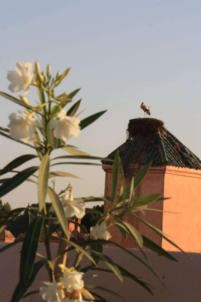 Riad Ciel D'orient