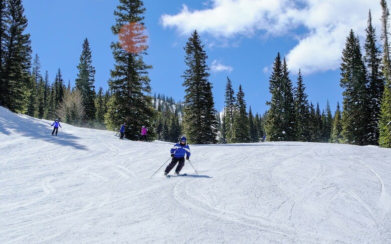 Hotel Ski Tip Ranch 8712