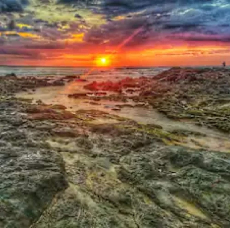 Villas Vr Beachwalk Avellanas