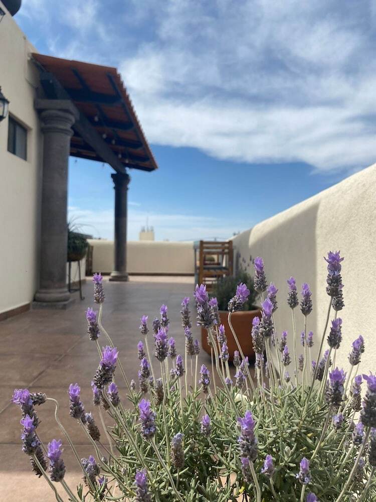 Hotel La Lejona