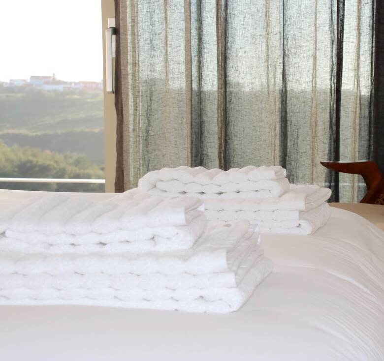 Hotel Quinta Do Tagus Village