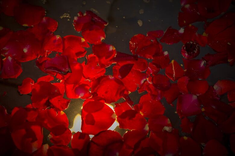 Riad La Rose Du D�sert