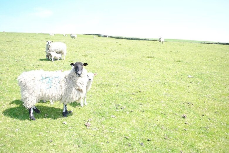Brambles Farm Peak District Escape