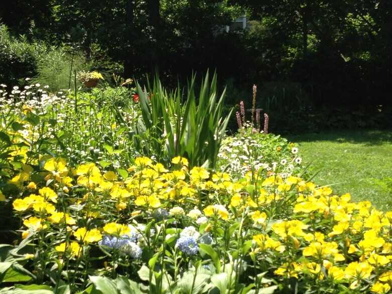Bed & Breakfast Nauset House Inn