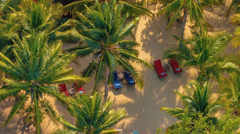 Buttonwood Belize