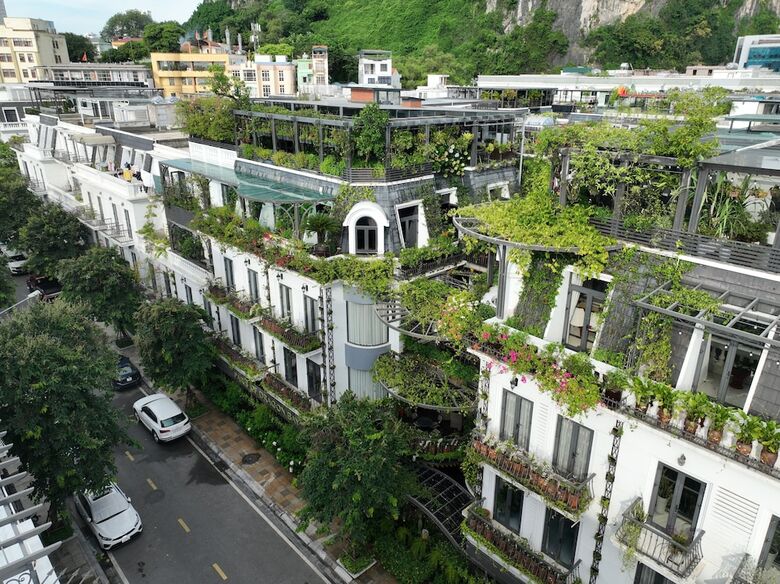 Paris Of Dragonbay Hotel