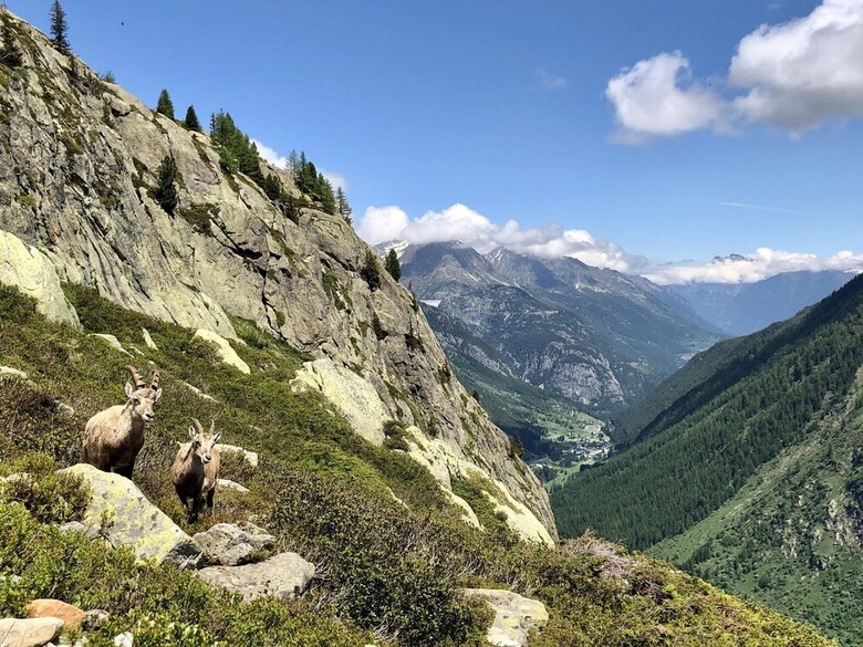 Chez Charles | Vallorcine Viachamonix