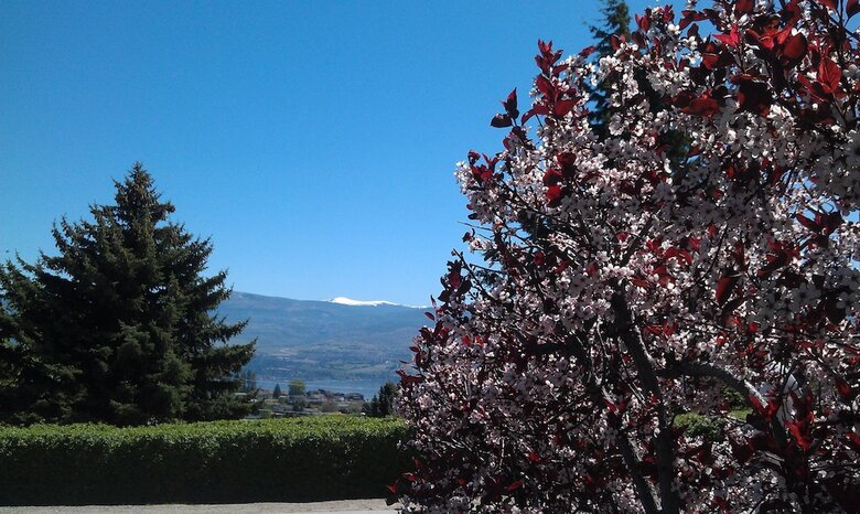 A View To Remember Bed & Breakfast