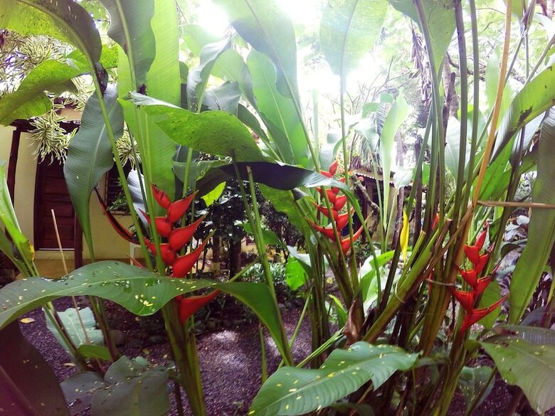 Hotel Tropical Sands Dominical Eco Inn