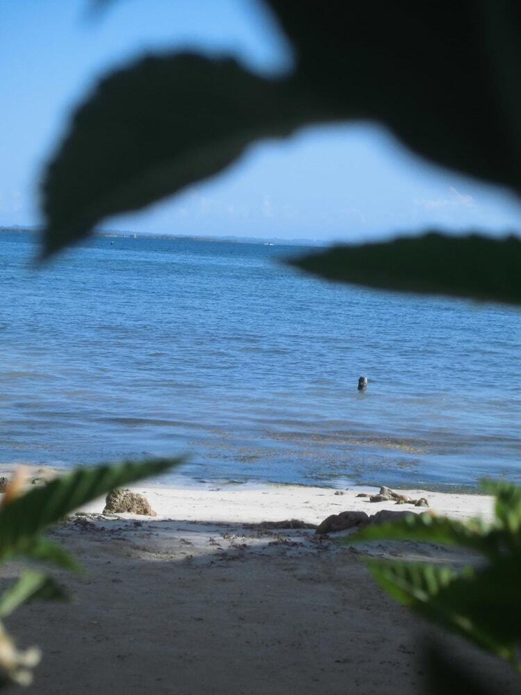 El Faro Del Colibri